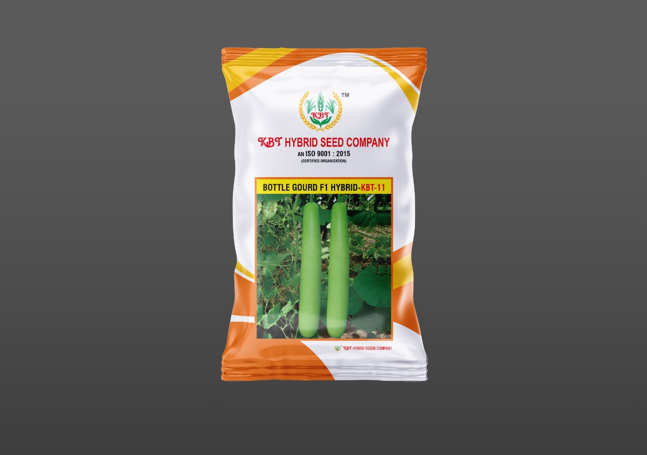 BOTTLE GOURD F1 HYBRID-KBT-11   10g